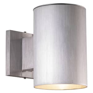 Chiasso Aluminum 1-Light Silver Dark Sky Cylinder Outdoor Wall Lantern Sconce