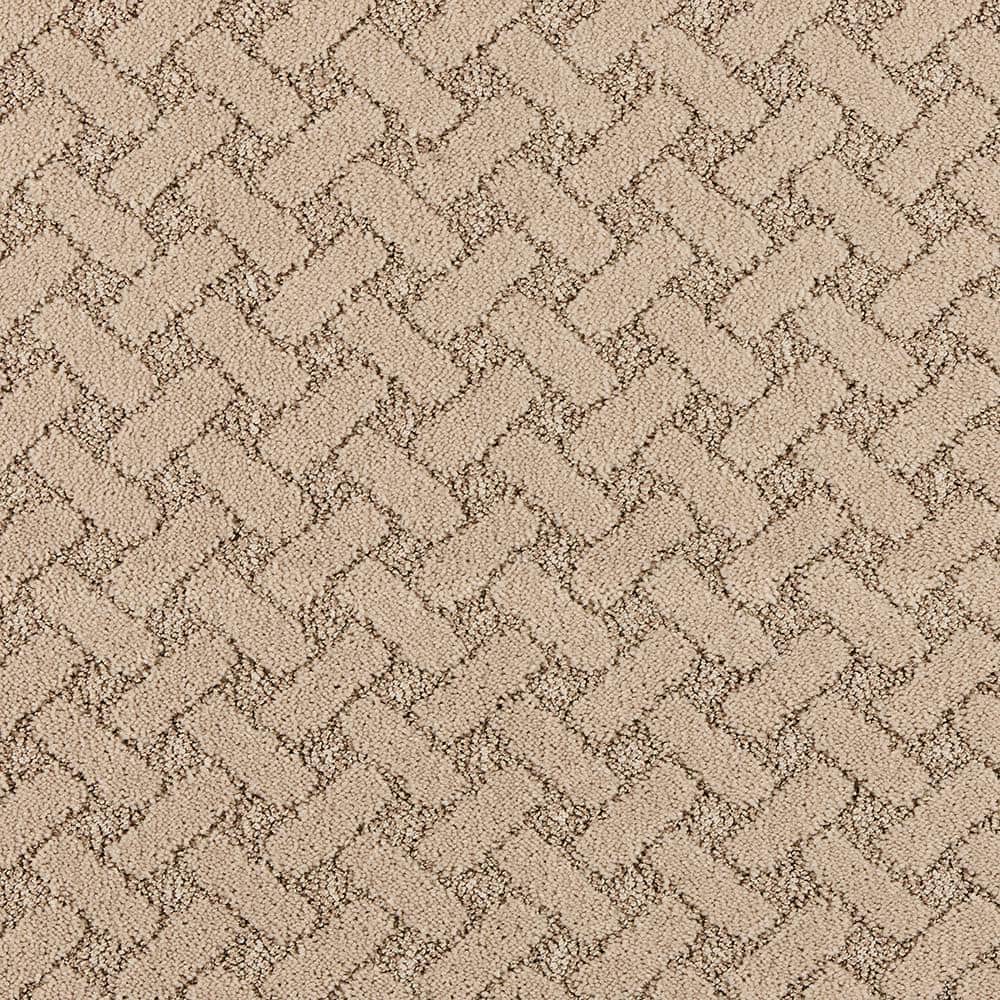 8 in. x 8 in. Pattern Carpet Sample - Sharp Perception -Color Elegant price history on PriceWatchPro