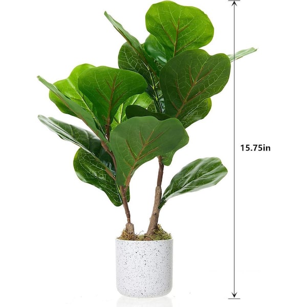 MOVECOM 1.3FT 2PC Artificial Fiddle Leaf Fig Tree in Pot,Faux Ficus Lyrata  Plant Green Bonsai in White Planter for Home Office PHK_36FKWXMA_LHD - The  Home Depot