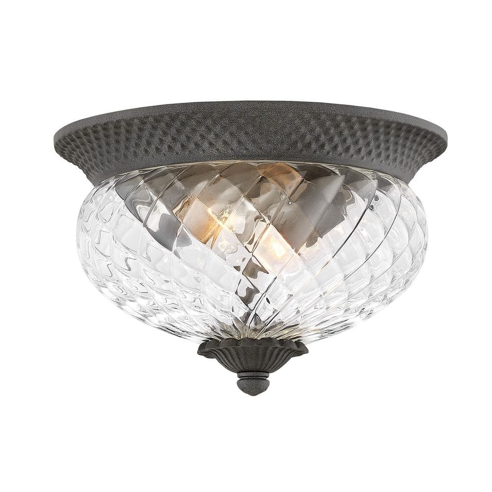Museum Black Clear Glass 2-Light LED Outdoor Sconce
