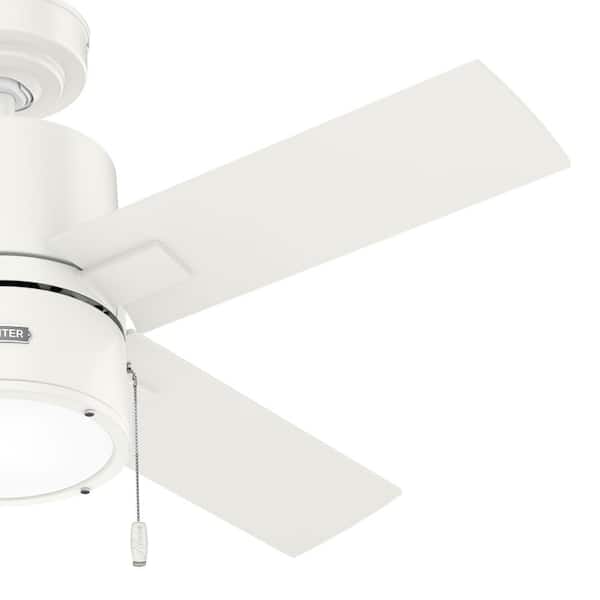 Hunter - Beck 42 in. Indoor Fresh White Ceiling Fan with Light Kit