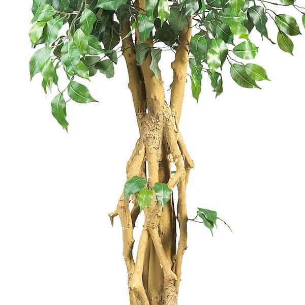 6 Pies De Altura Ficus Árbol Artificial De Hoja De Seda