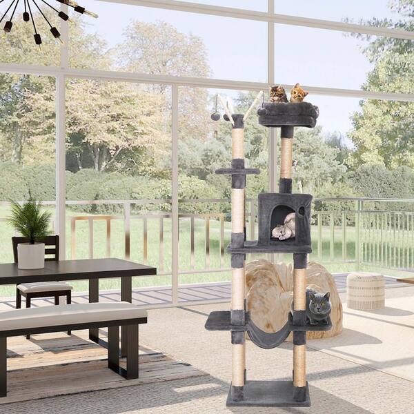 cat play climbing frame