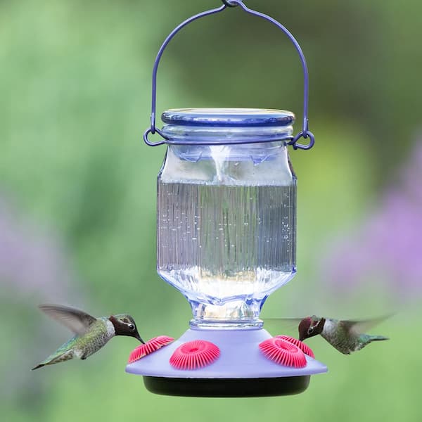 Perky Pet Lavender Field Top Fill Decorative Glass Hummingbird