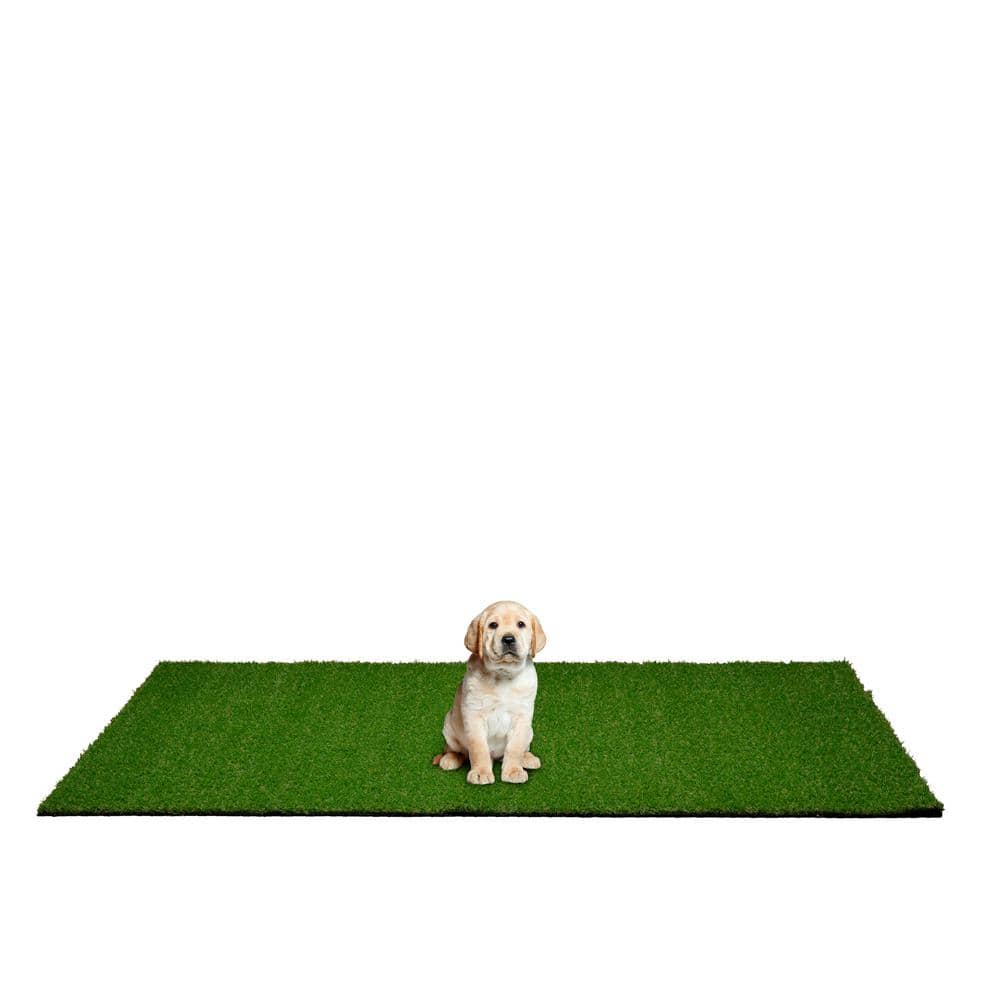 4' x 6' Green Artificial Grass Turf Puppy Pee Pad