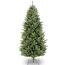 https://images.thdstatic.com/productImages/679a2cb5-39d3-424c-97f8-d39f05edd0fc/svn/national-tree-company-unlit-christmas-trees-naffslh1-65-64_65.jpg