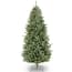 National Tree Company 7.5 ft. Frasier Grande Tree-PEFG3-500-75 - The ...