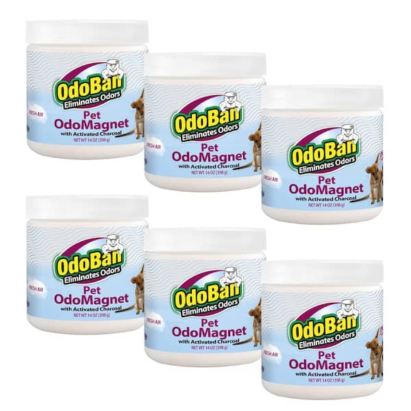 OdoBan 14 oz. OdoMagnet Odor Absorber with Activated Charcoal, Pet Odor Eliminator for Home, Bathroom, Fresh Air Scent (6-Pack)