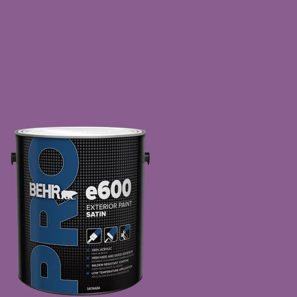 1 gal. #P100-6 Chakra Satin Exterior Paint