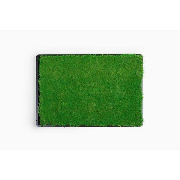 Unbranded Gotta Go Grass with Tray Plus Treat Plus Toy Ball Plus Squeaky Toy (2-Pack)