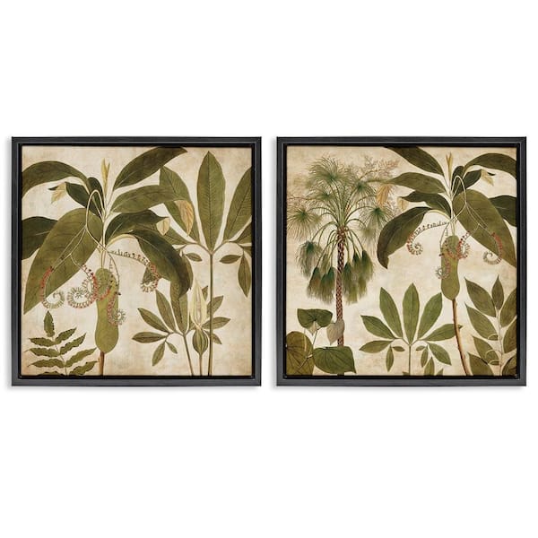 Stupell Industries Vintage Botanical Tropics by Chris Donovan 2-Pieces Black Floater Frame Nature Graphic Art Print 25 in. x 25 in.