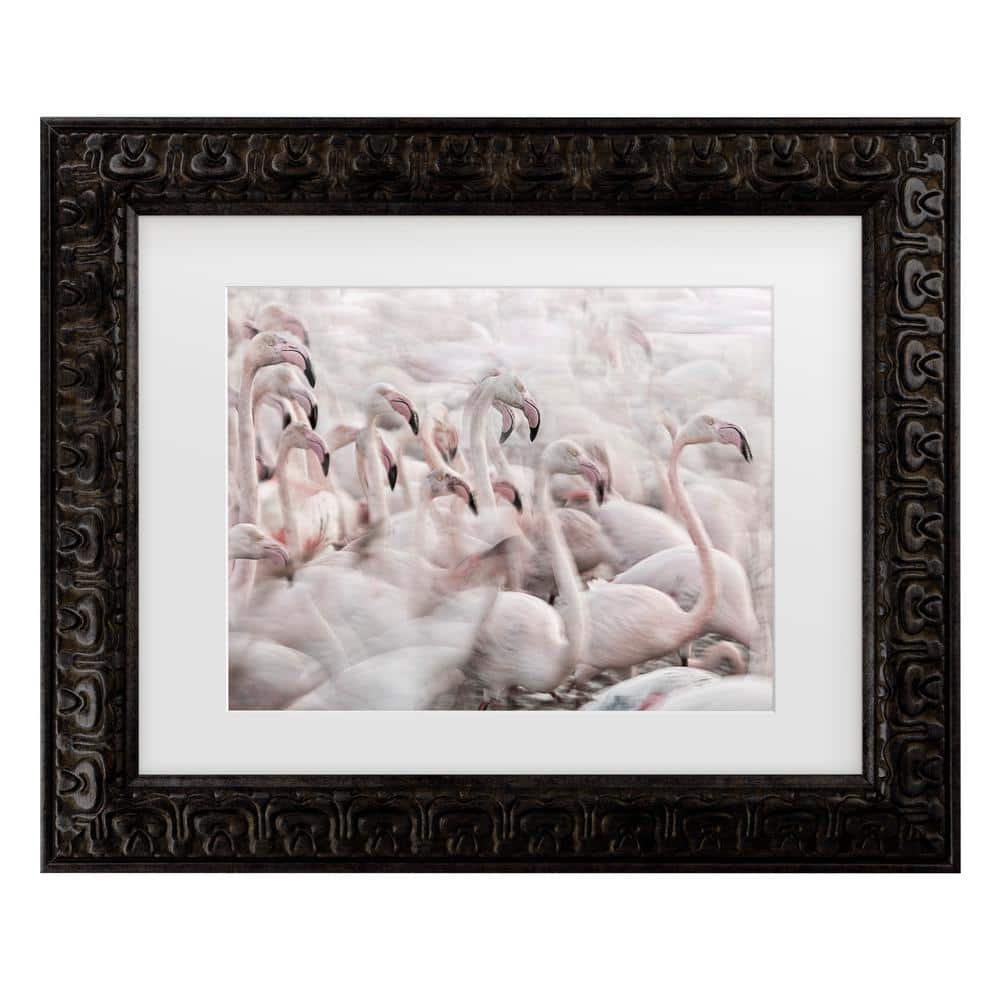 Martine Benezech in the Pink Transhumance Matted Framed Photography Wall Art 14.5 in. x 17.5 in. price history on PriceWatchPro