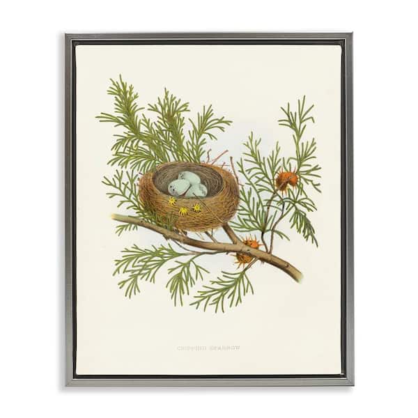 Stupell Industries Forest Bird Nest on Branch by Tina Higgins Designs, Inc. Gray Floater Frame Nature Graphic Art Print 21 in. x 17 in.