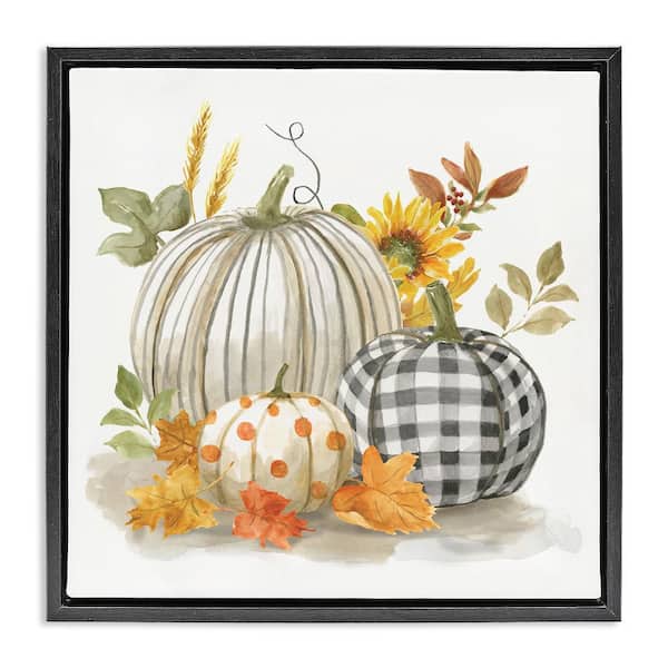Stupell Industries Patterned Pumpkins Autumn Harvest by Nan 1-Piece Black Floater Frame Nature Graphic Art print 25 in. x 25 in.