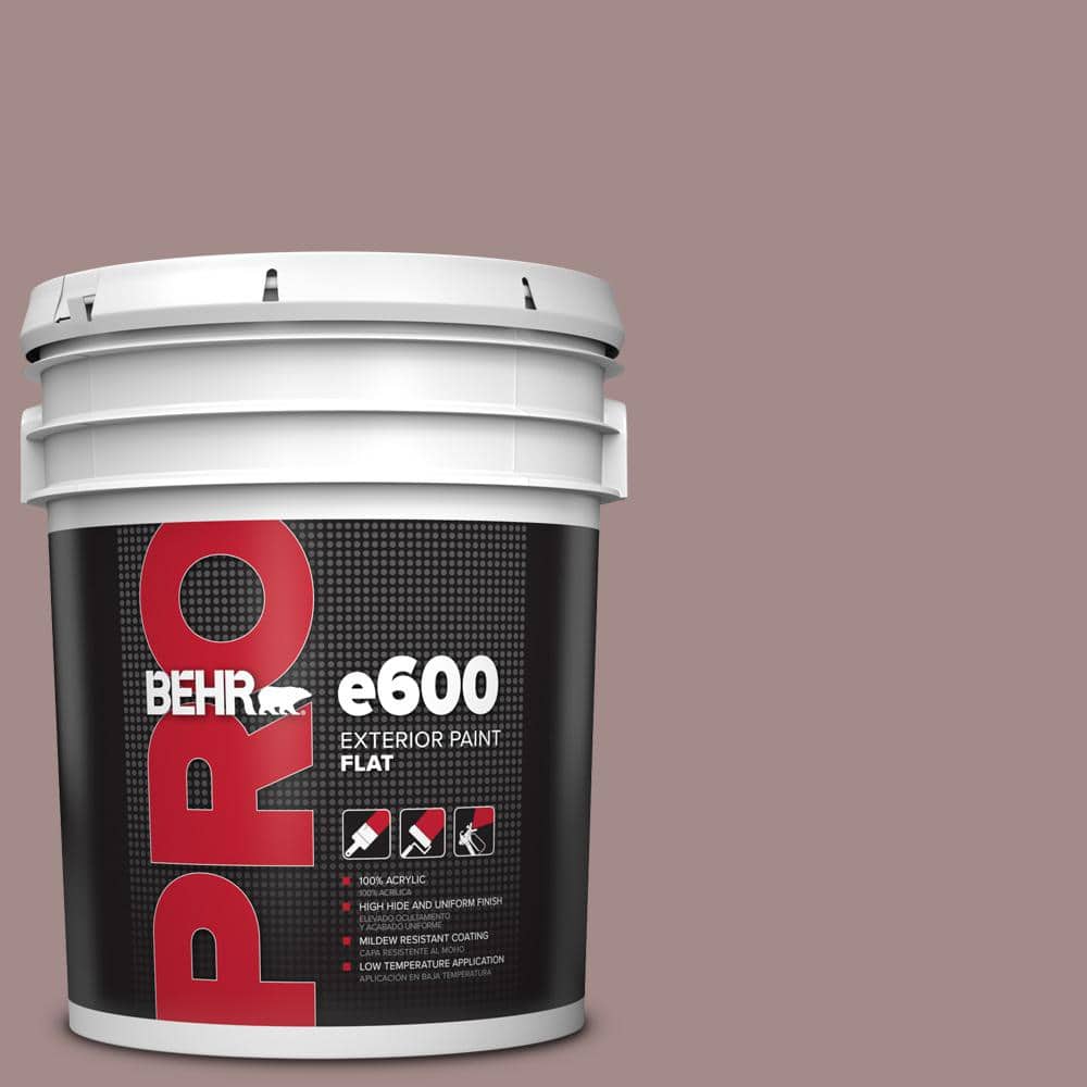 5 gal. #PPU17-15 Cameo Rose Flat Exterior Paint price history on PriceWatchPro
