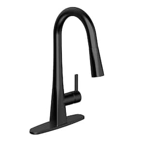 Belanger Single Handle Pull Down Sprayer Kitchen Faucet with Swivel Spout in Black Stainless Steel
