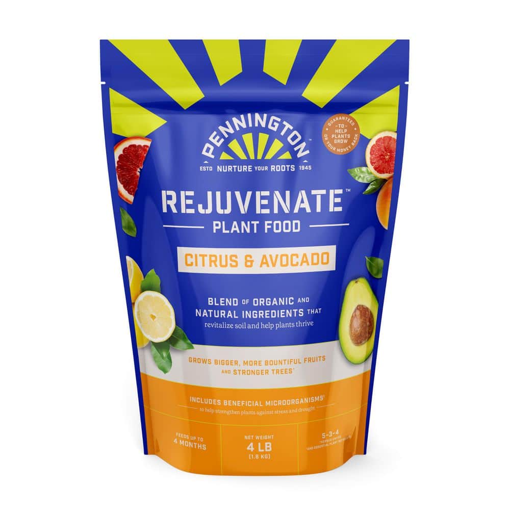 Pennington 4 lbs. Rejuvenate Citrus and Avocado Plant Food 5-3-4
