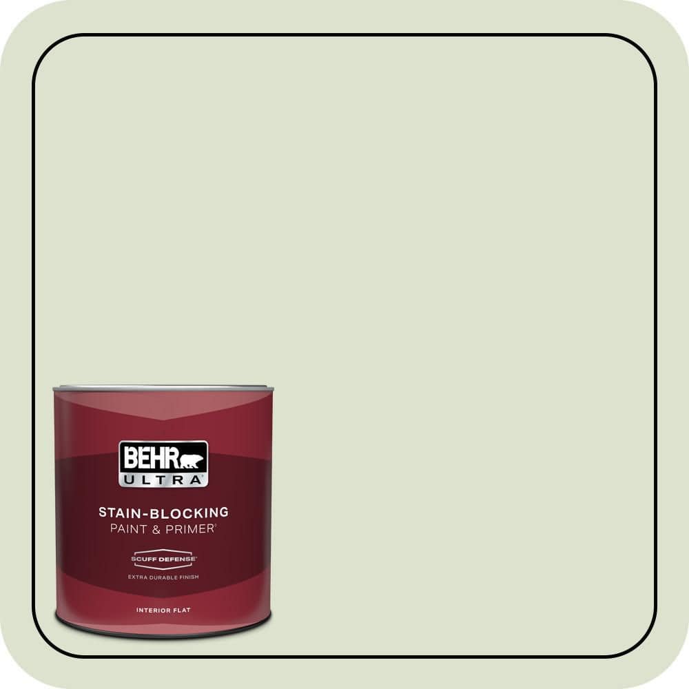 1 qt. #M380-1 Cavan Extra Durable Flat Interior Paint & Primer price history on PriceWatchPro