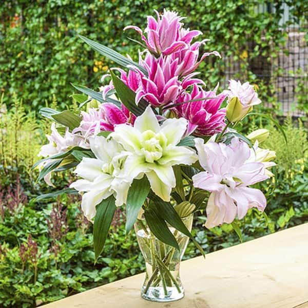Breck's Roselily Dormant Bulb Mixture (5-Pack) 00218 - The Home Depot