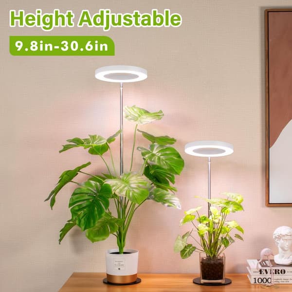 LED Grow Light for Indoor Plants, Full Spectrum, Auto Timer, 4-Brightness Levels, Adjustable Height, 2-Pack, White