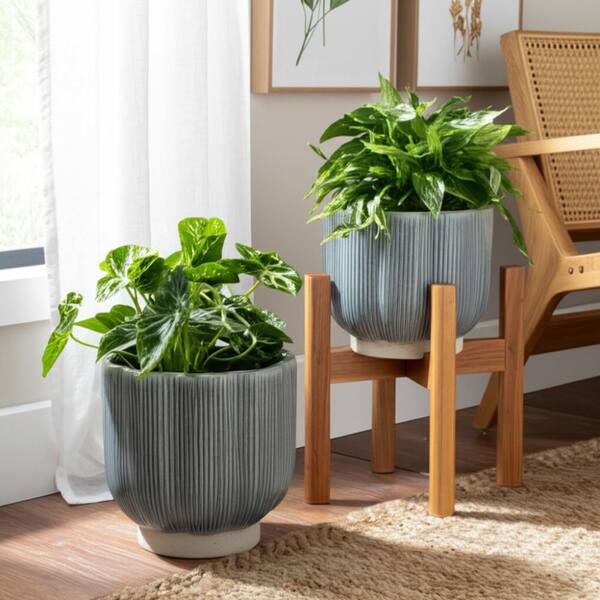 Liv & Skye 6 in. and 8 in. Green Ceramic Scallop Shaped Decorative