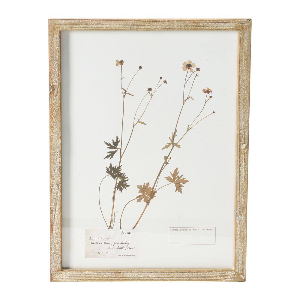 Set of 6 Botanical Prints in Light Brown Wood Frames