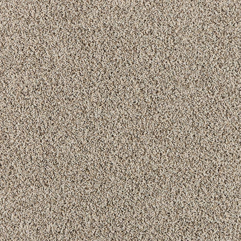8 in. x 8 in. Texture Carpet Sample - Radiant Retreat I  - Color Silver Lining price history on PriceWatchPro