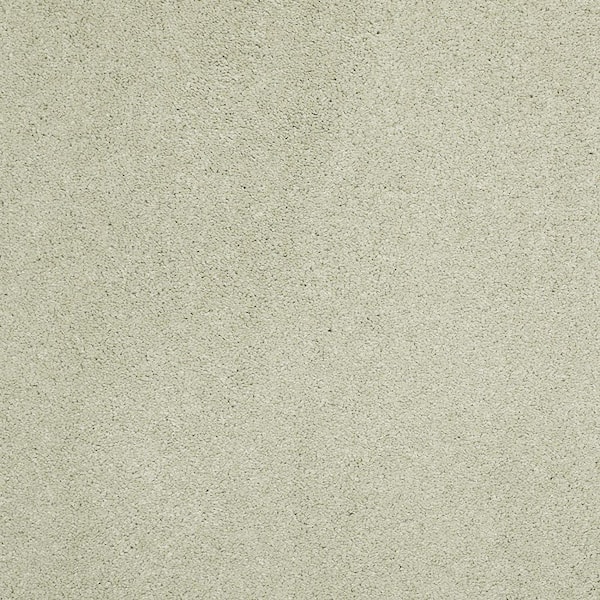 Lifeproof 8 in. x 8 in. Texture Carpet Sample - Coral Reef II - Color English Garden
