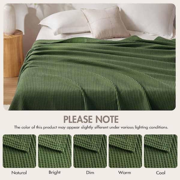 Madison Park Waffle Weave Olive Green Cotton Twin Woven Blanket