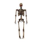 5 ft Posable Decayed Skeleton with LED Eyes