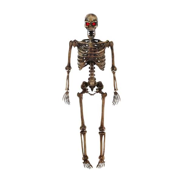 Home Accents Holiday 5 ft Posable Decayed Skeleton with LED Eyes