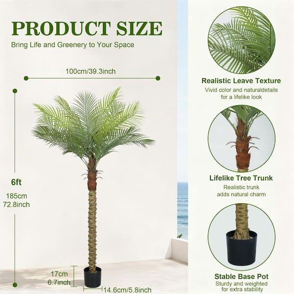 Have a question about Vitalismo 6ft. Artificial Palm Tree Tropical