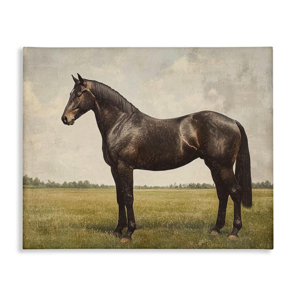 Stupell Espresso Horse Portrait Canvas Wall Art Design By Petal Prints