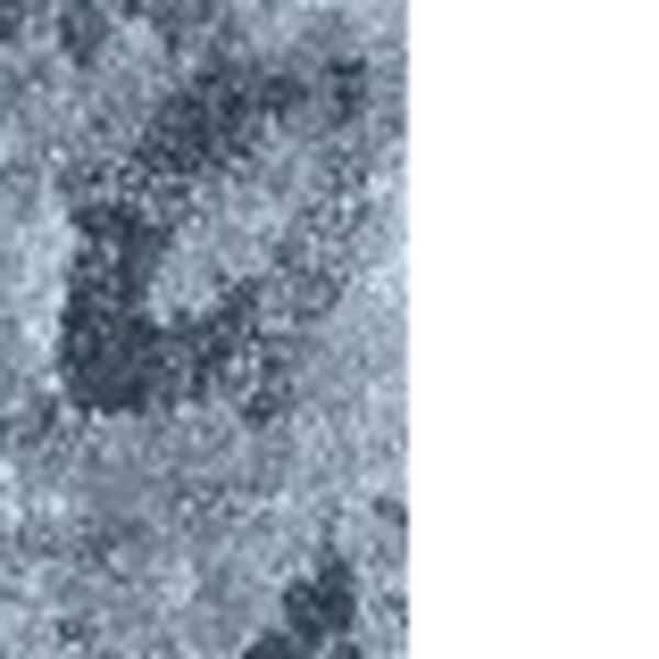 3 x 5 Blue, Ivory Oriental Runner Rug