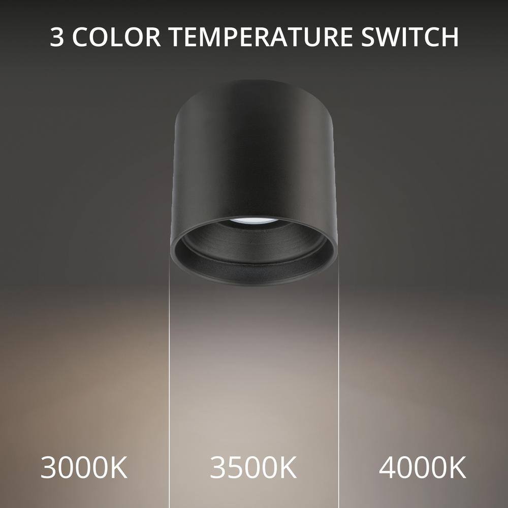 Black Glass 5" LED Indoor/Outdoor Flush Mount Light
