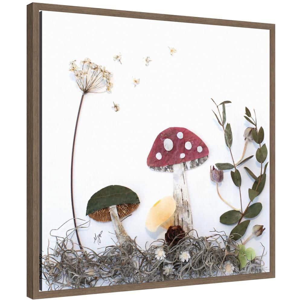 "Sylvie ""Mushroom No. 2"" by Madeline Jeppesen Nature Framed Art Print 22 in. x 22 in." price history on PriceWatchPro