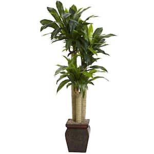 4.5 ft. Artificial Cornstalk Dracaena with Vase (Real Touch)