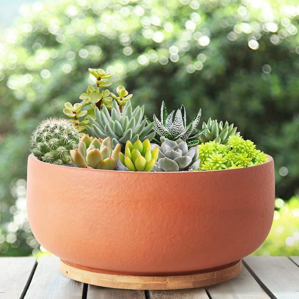 water pot for plants Self Watering Pot main image 1