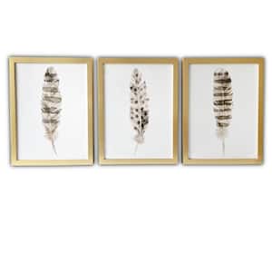 Feathers Framed Animal Art Print 16 in. x 20 in. Each (Set of 3)