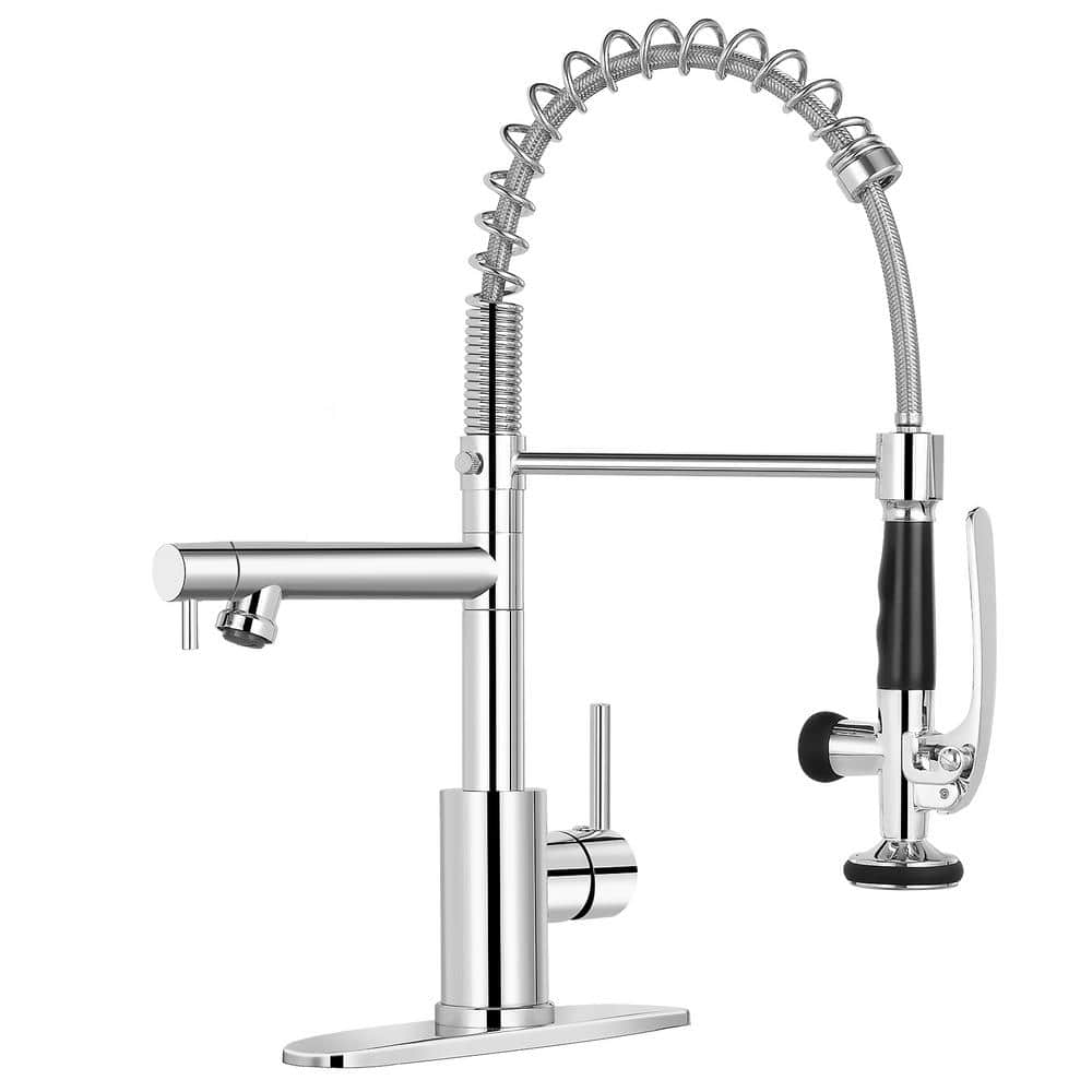 Single Handle 18 in. Dual Function Pull Down Sprayer Kitchen Faucet with Ad