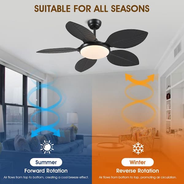 Kviflon 48 in. Indoor/Outdoor Black Retro 5 Palm Leaf Shaped