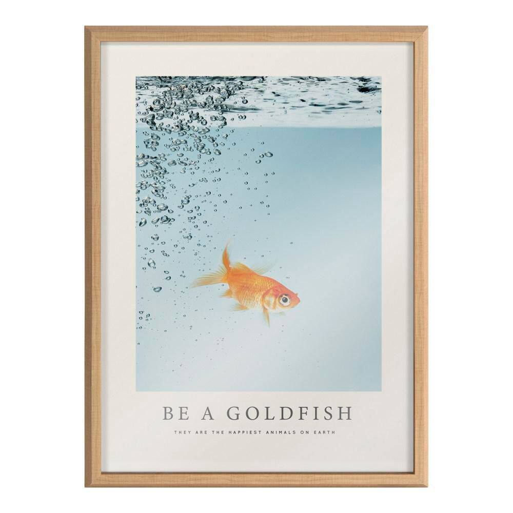 Be A Goldfish Motivational Glass Framed Wall Art