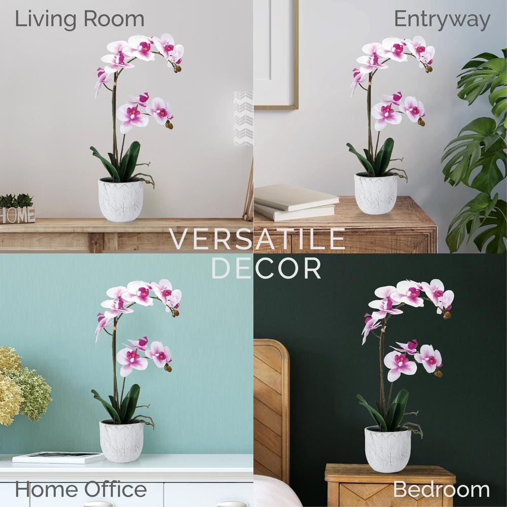 22-Inch White and Fuchsia Orchid in Embossed Plastic Pot