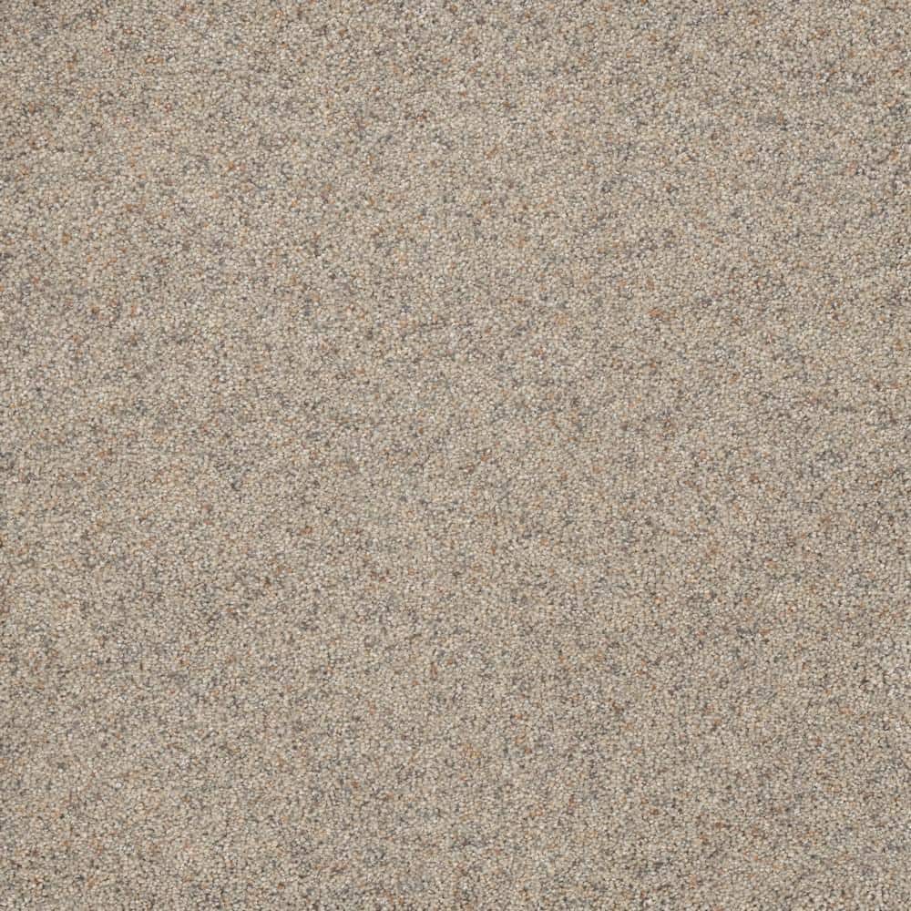 8 in. x  8 in. Texture Carpet Sample - Bradmore I -Color Carefree price history on PriceWatchPro