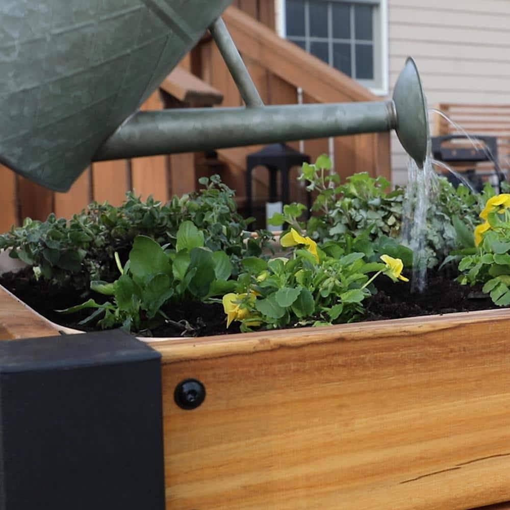 Backyard Raised Teak Planter with Black Steel Legs