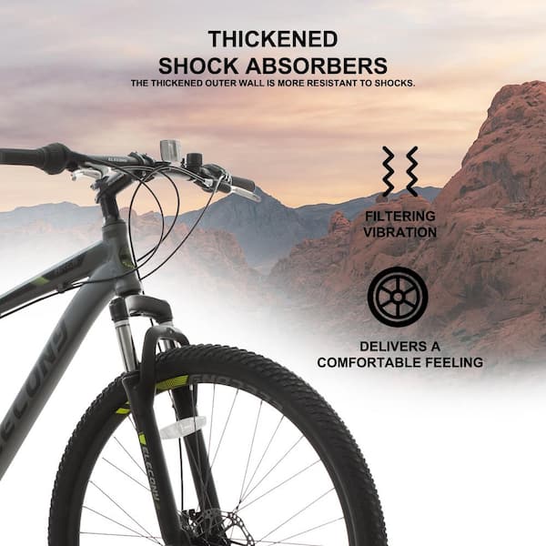 Giant 21 discount speed mountain bike