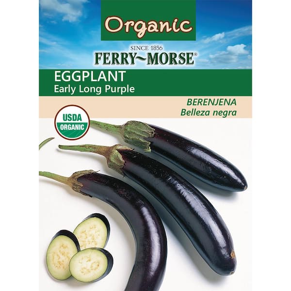 Organic Eggplant Early Long Purple Seed