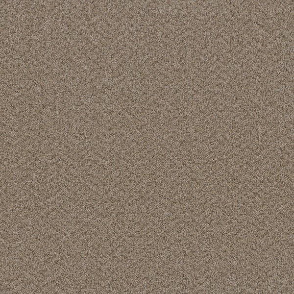 TrafficMaster Added Value - Merit - Beige 24 oz. SD Polyester Texture Installed Carpet