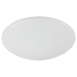 Replacement Glass for Arctic Sky 54 in. Brushed Nickel Ceiling Fan