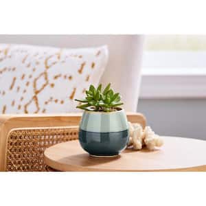 3.5 in. Demi Small Teal/Multi-color Ceramic Pot (3.5 in. D x 3.5 in. H) With Drainage Hole